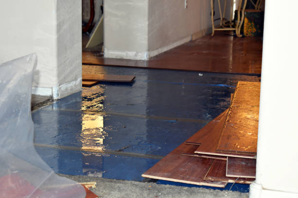 Professional Burst Pipe Cleanup technician working in Millinocket, ME